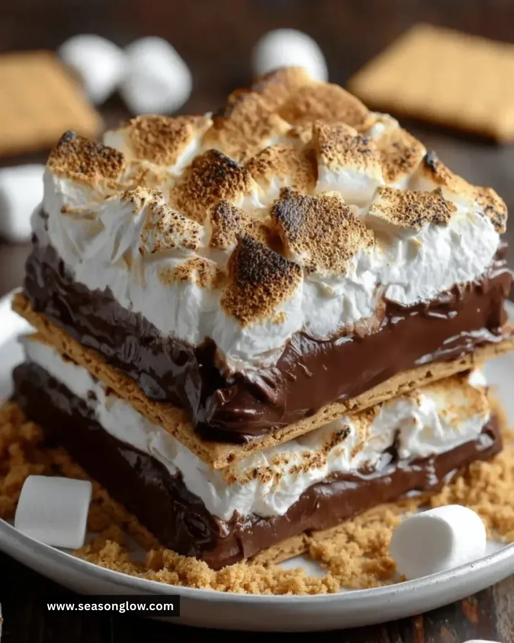 Delicious Frozen S'mores with chocolate, marshmallow, and graham cracker layers