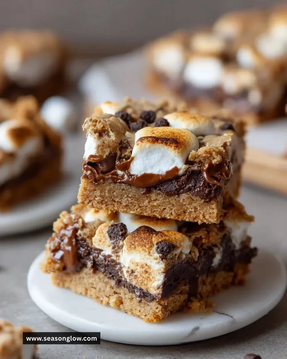 Delicious S'mores Cookie Bars with chocolate and marshmallow