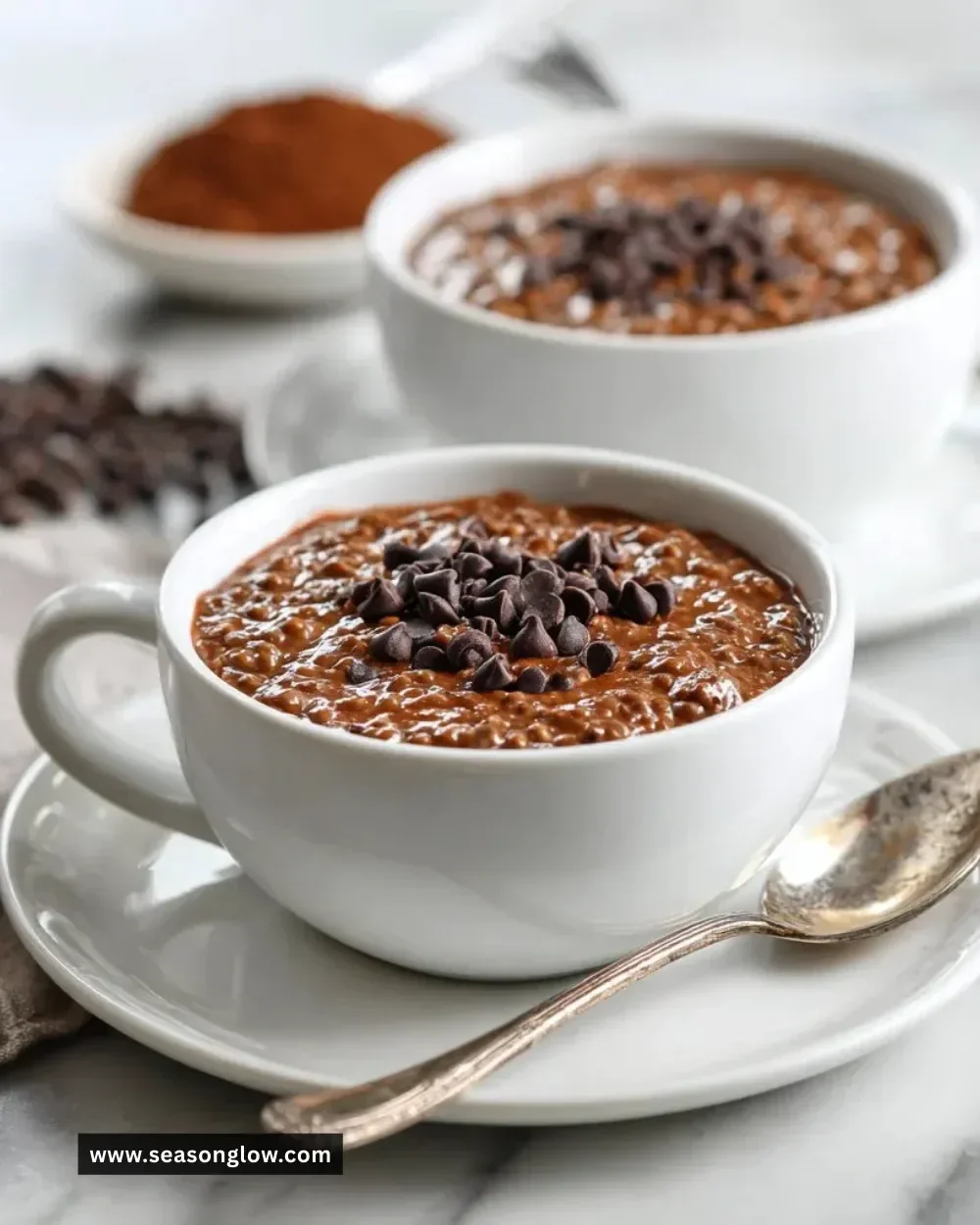 Brownie batter overnight oats topped with chocolate chips and almonds