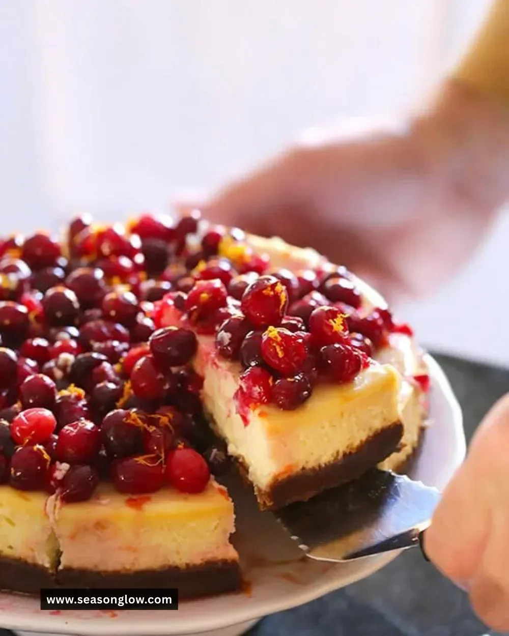 Delicious Cranberry Orange Cheesecake with fresh cranberries and orange slices