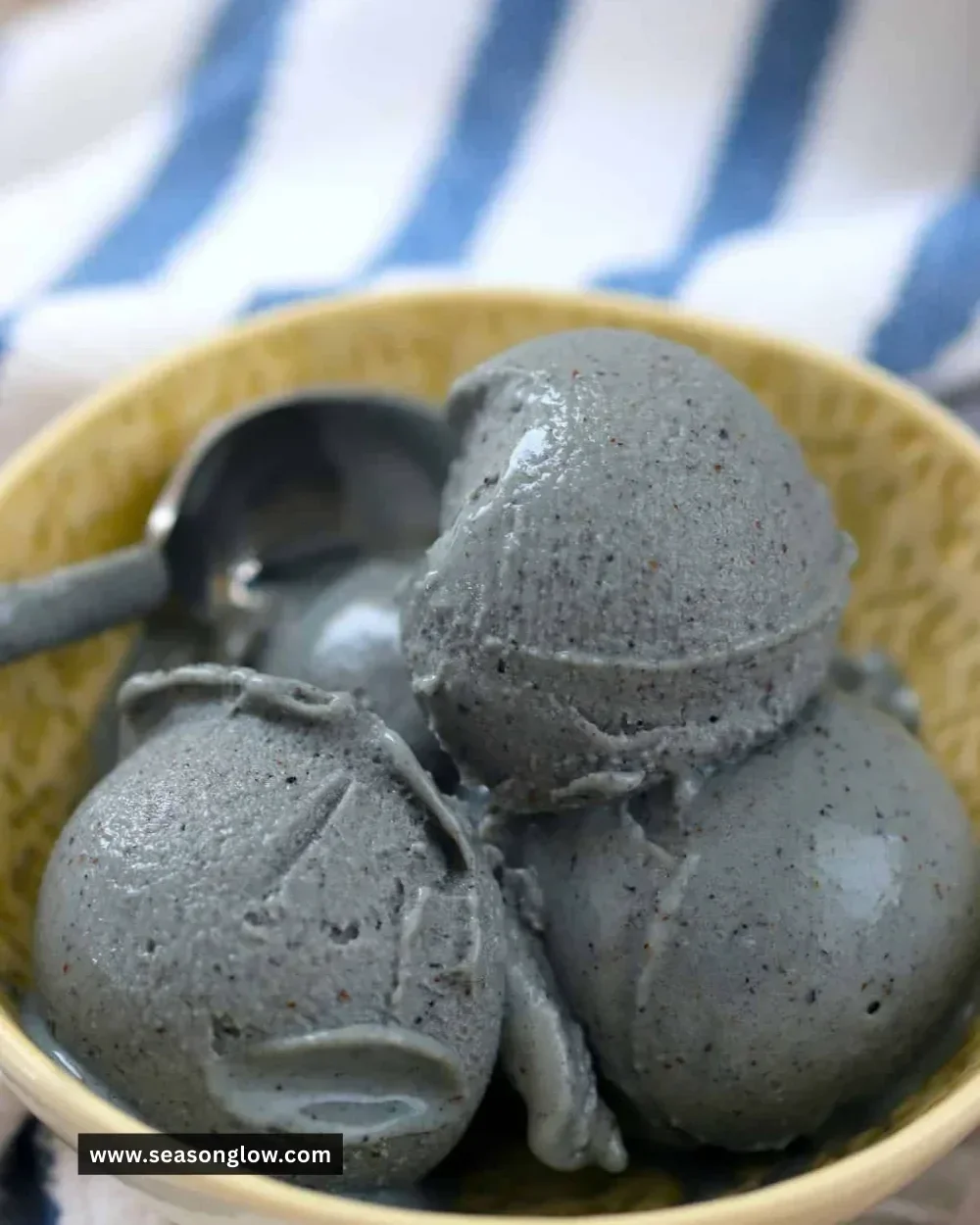 Delicious low carb blueberry ice cream made with Ninja Creami